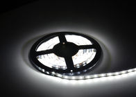 IP20  Dimmable  Flexible  LED  Strip  Lights ,   SMD3528/5050  4.8W  3000/4000/6000K