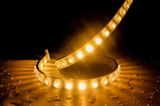 48 LEDS/M IP67 SMD 5050 Flexible Strip Light With Lens Beam Angle