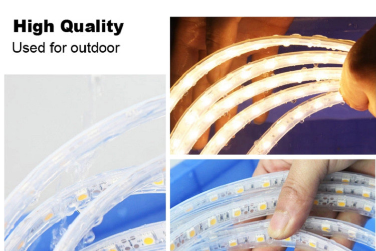 Waterproof Flexible LED Strip Lights SMD5050 DC24V/12V CRI 90 2700-6500K No Flickering