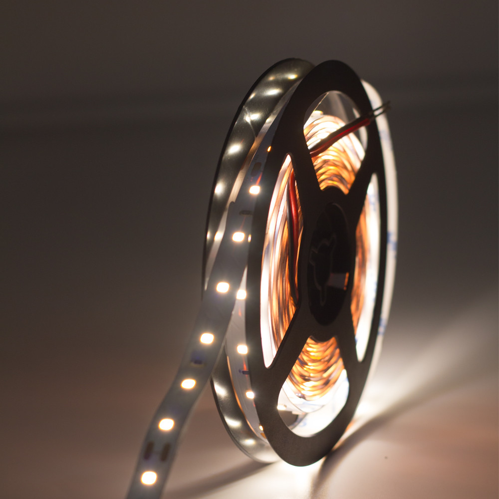 High efficiency Changeable 60 led m CW flexible 2835 led strip light